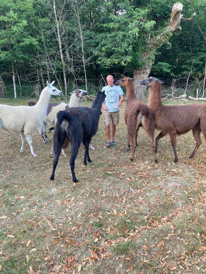 The Llama Farm France Saint-Cyr-Les-Champagnes Eksteriør billede