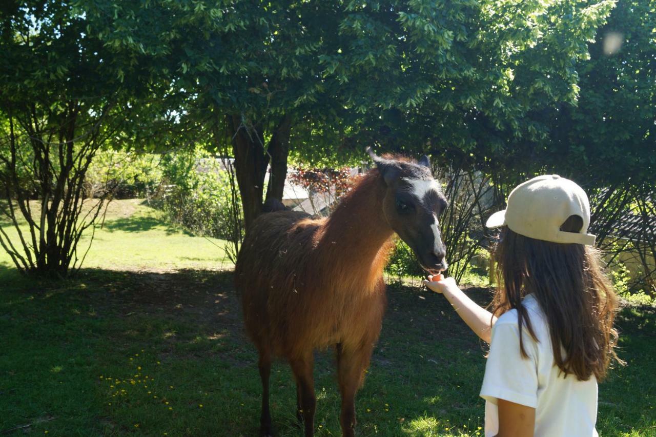 The Llama Farm France Saint-Cyr-Les-Champagnes Eksteriør billede