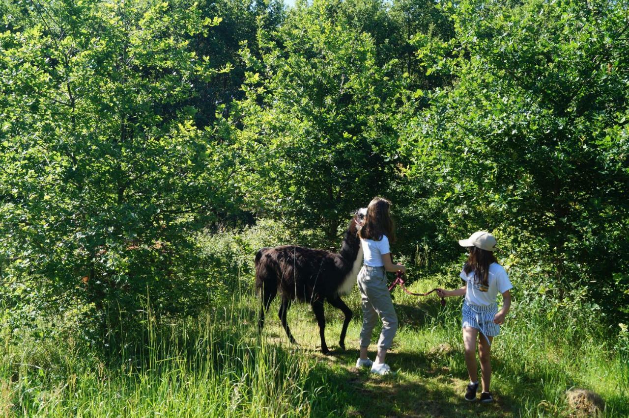 The Llama Farm France Saint-Cyr-Les-Champagnes Eksteriør billede