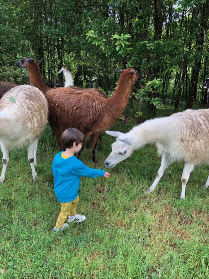 The Llama Farm France Saint-Cyr-Les-Champagnes Eksteriør billede