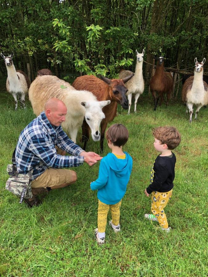 The Llama Farm France Saint-Cyr-Les-Champagnes Eksteriør billede