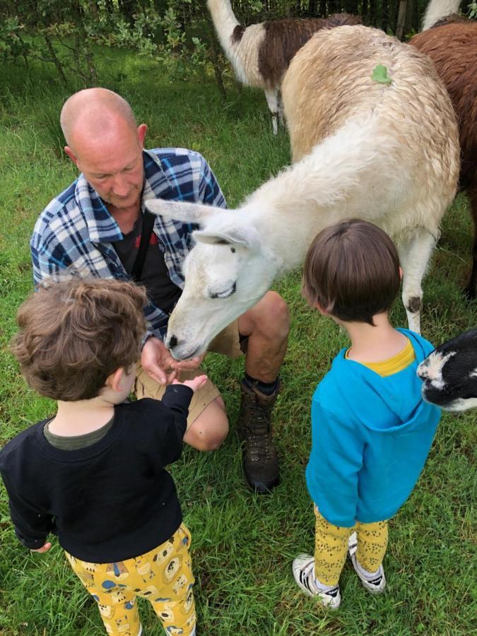 The Llama Farm France Saint-Cyr-Les-Champagnes Eksteriør billede